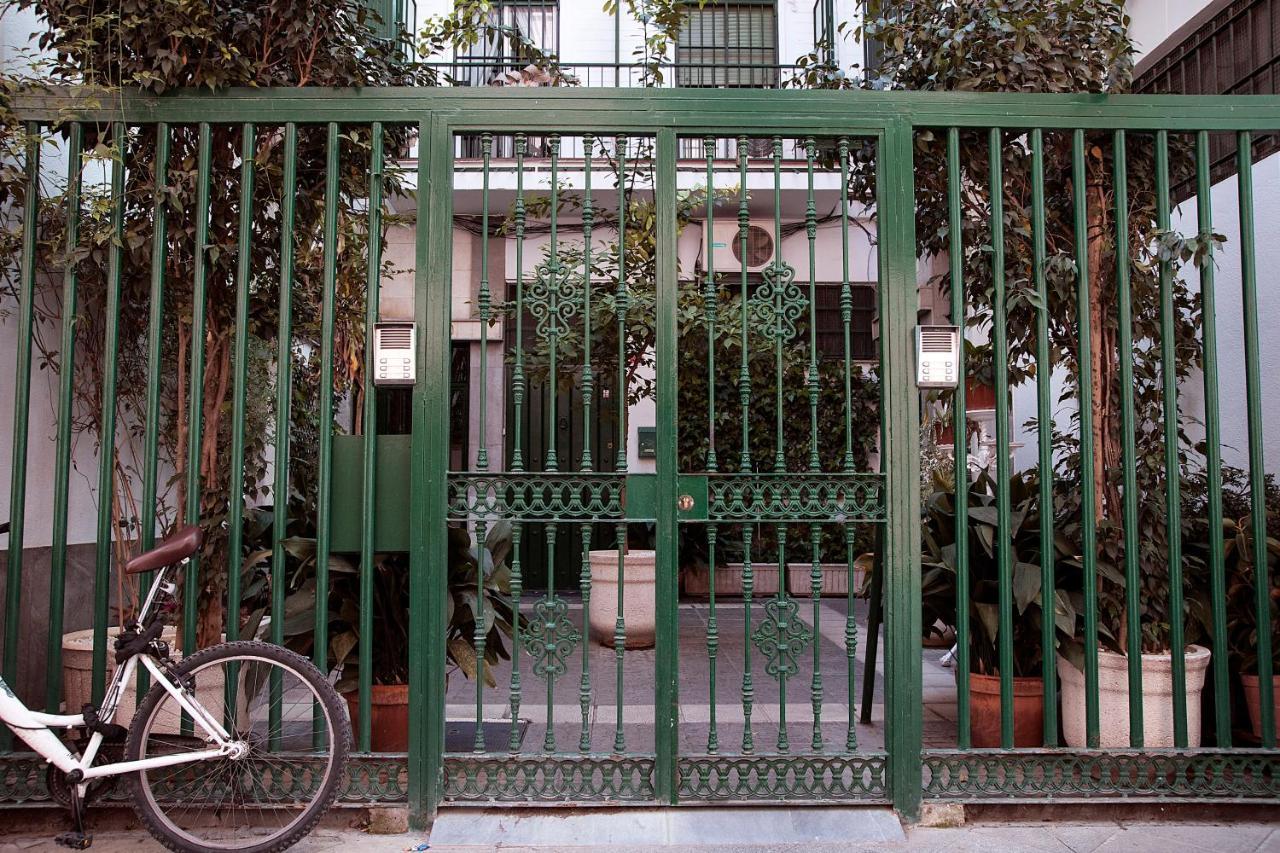 Rentalsevilla Buiza Y Mensaque Екстериор снимка